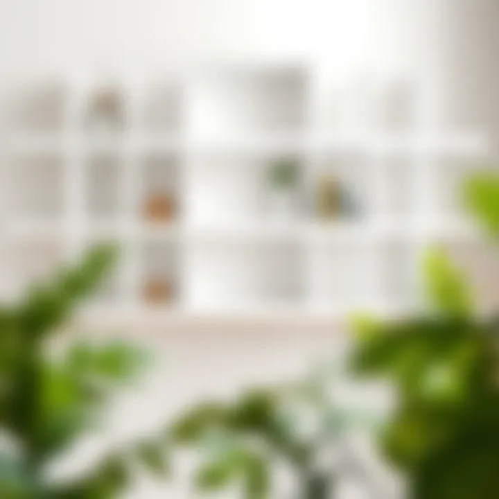 Variety of materials for white wall shelves