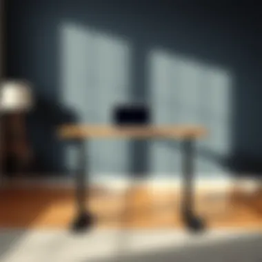 Comparison of various standing desk styles and prices