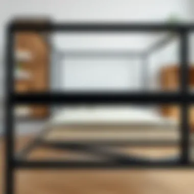 Craftsmanship of the Bjorksta Frame An overview showcasing the craftsmanship and quality materials used in the Bjorksta frame.