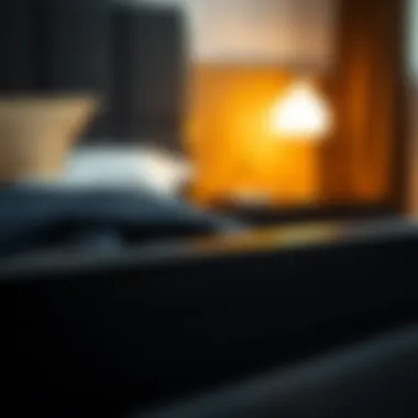 Textures and Materials of Black Bed Frame Close-up of a black queen bed frame highlighting textures and materials