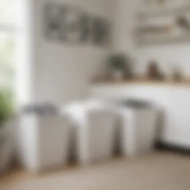 Container Store white bins displaying a clean and tidy living space