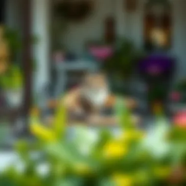 An elegant outdoor cat bench providing a relaxing spot for felines.