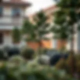 Elegant Arrangement of Artificial Trees Elegant arrangement of artificial outdoor decorative trees in a landscaped garden