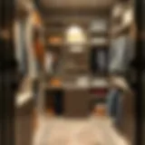 Stylish walk-in closet organizer showcasing a blend of functionality and design