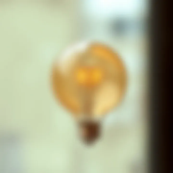 Close-up of an energy-efficient E26 globe bulb