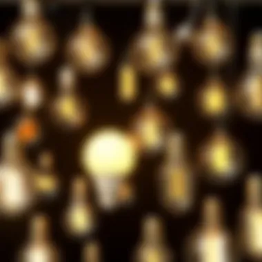 Variety of E26 globe bulbs showcasing different design styles