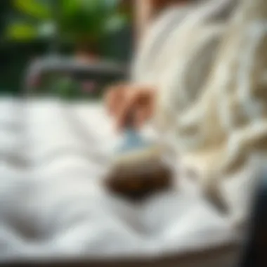 Detailing Outdoor Fabric Cleaning with Precision Close-up of cleaning outdoor fabric with a brush