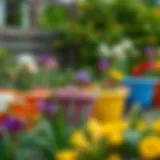 Vibrant garden scene with 6 quart Iris tubs in various uses