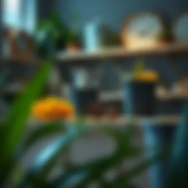 Stylishly organized indoor space featuring Iris tubs for smart storage