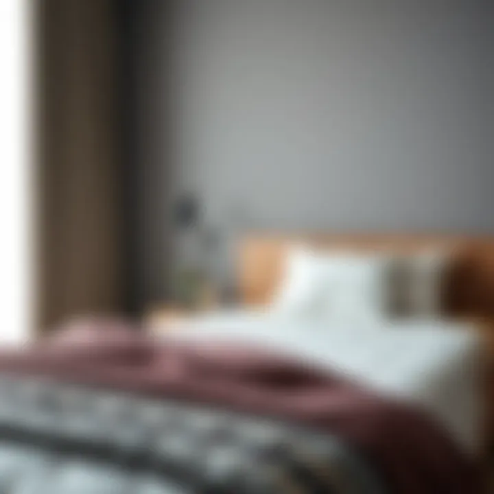 Infographic on maintenance tips for foam cushions