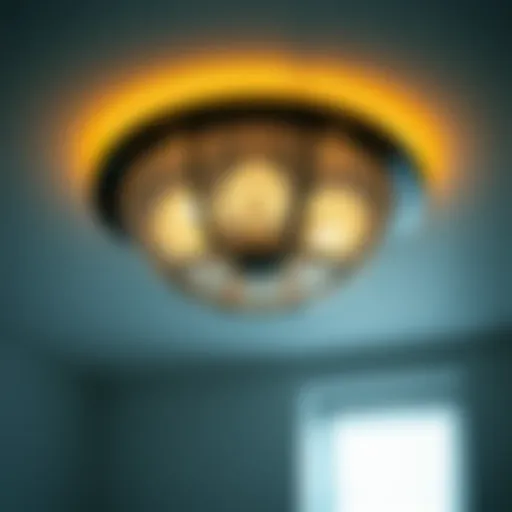 Elegant Ceiling-Mounted Fixture Elegant ceiling-mounted fixture enhancing bathroom decor