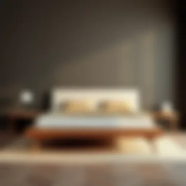 Elegant Queen Platform Bed Frame Elegant queen platform bed frame with minimalist design