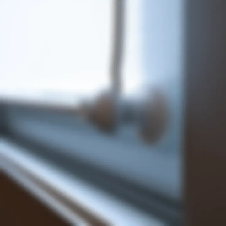 Innovative Suction Cup Technology Close-up of suction cup mechanism on a window shade