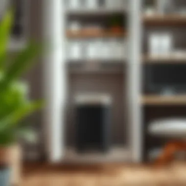 Stylish pull out trash can system showcasing organization in a home office.