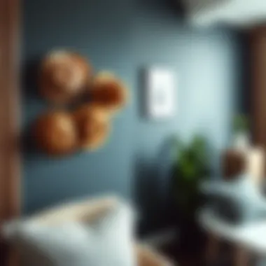 Trendy hat hanger arrangement in a contemporary space