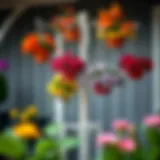 Elegant Garden Stand with Hanging Baskets Elegant garden stand showcasing vibrant hanging baskets