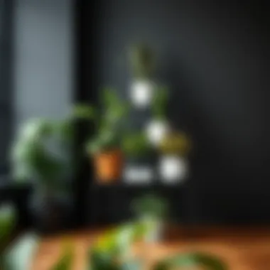 Stylish Arrangement of Indoor Plants Stylish arrangement of indoor plants on a tiered stand