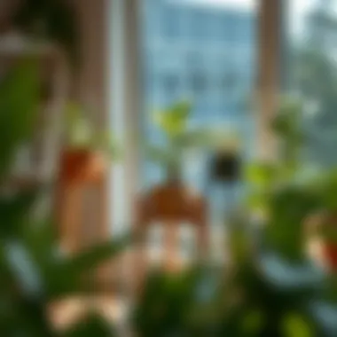 Sustainable Materials for Plant Racks Sustainable materials used in modern plant racks