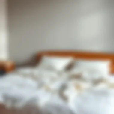 Comfortable Bedding on King Size Box Bed Comfortable bedding arrangement on a king size box bed