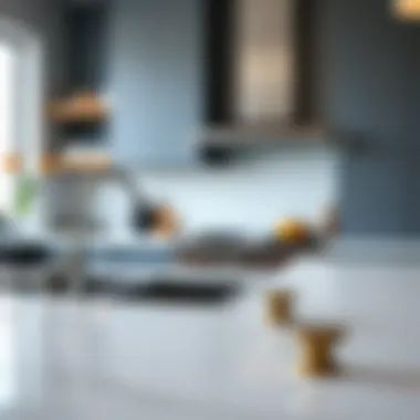 A stylish kitchen featuring modern design trends in knobs