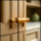 Elegant brass cabinet pulls showcasing timeless design.