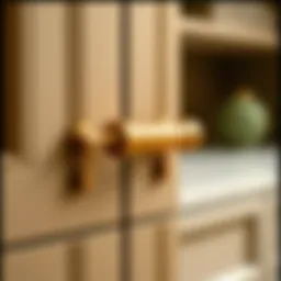 Elegant brass cabinet pulls showcasing timeless design.