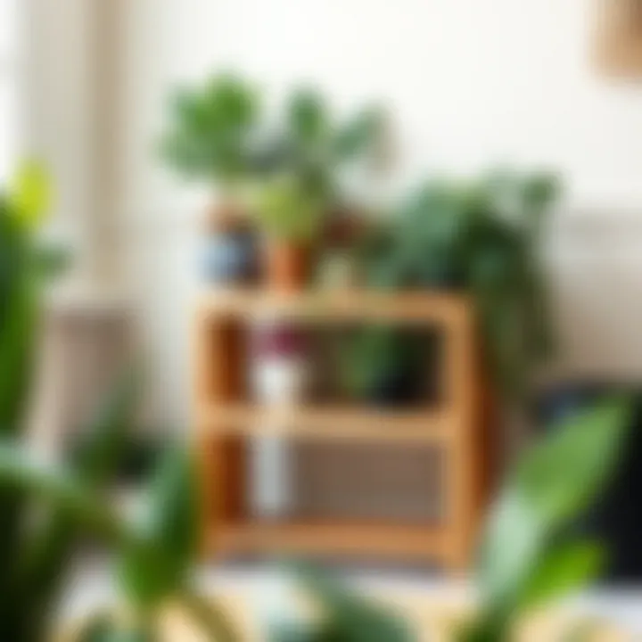 Elegant wooden planter stand showcasing a variety of plants