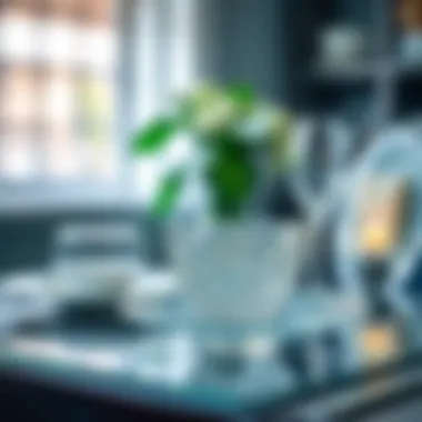 Maintenance of Luminarc Glass Dinnerware Maintenance tips for Luminarc glass dinnerware