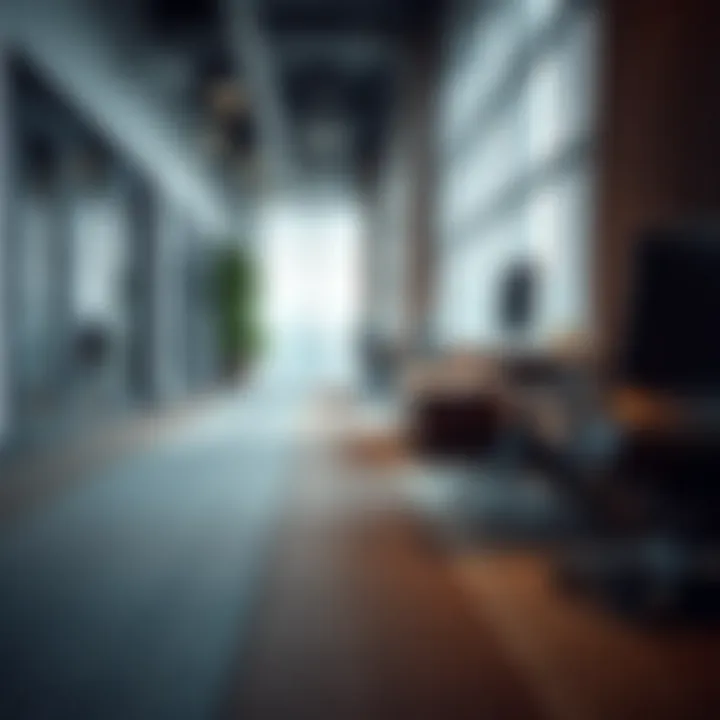 Elegant Non-Slip Runner in a Professional Office Setting Elegant non-slip runner in a professional office setting