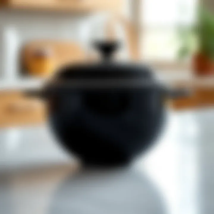 Elegant Pyrex Storage Bowl Elegant Pyrex storage bowl with a lid showcasing its sleek design and functionality