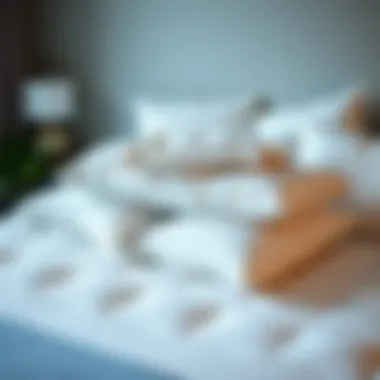 Diverse Selection of Down Types for Bedding Variety of down types for bedding selection