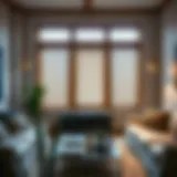 Aesthetic view of room darkening faux wood blinds in a modern living room