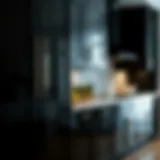 Sleek Shiny Black Cabinets Sleek shiny black cabinets with modern hardware