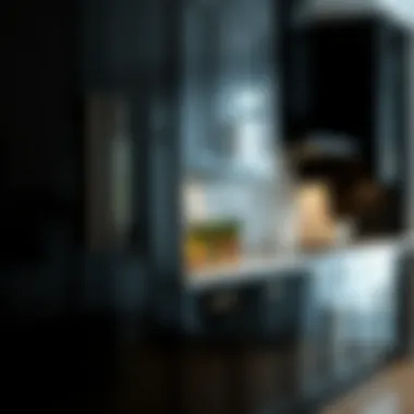 Sleek Shiny Black Cabinets Sleek shiny black cabinets with modern hardware