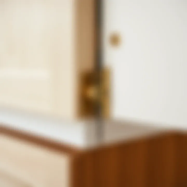 Close-up of Slow Closing Mechanism Close-up view of slow closing mechanism in cabinetry