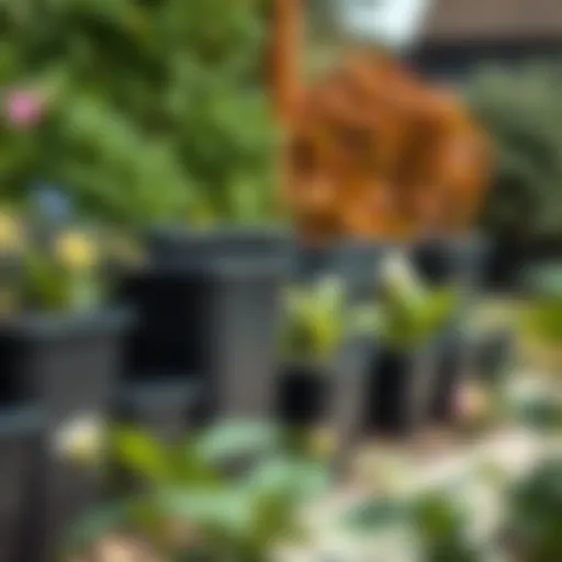 A collection of square black plastic plant pots arranged in a garden setting