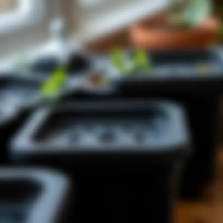 Close-up of square black plastic plant pots showcasing drainage holes