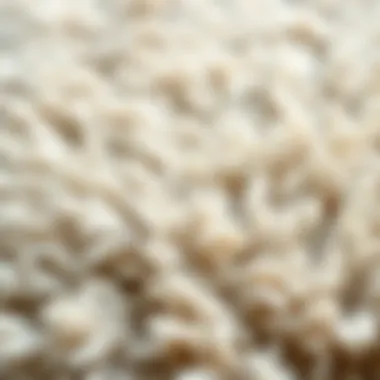 Close-up of a soft fluffy rug showcasing texture and color