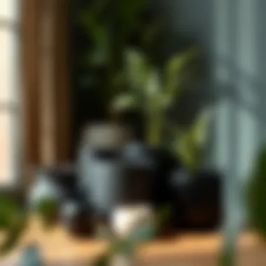 Sustainable materials used in black plant containers