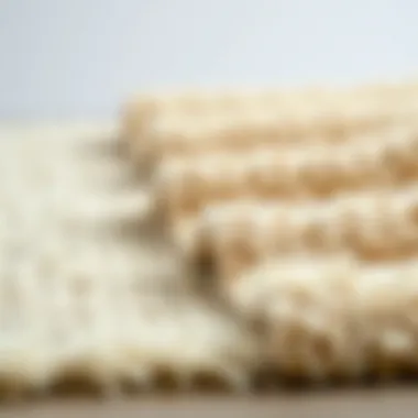 Variety of Cream Beige Rugs: Textures and Styles Variety of cream beige rugs showcasing different textures and styles