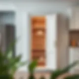 Elegant single door pantry cabinet showcasing modern design