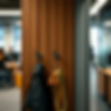 Functional door hooks in a busy office environment