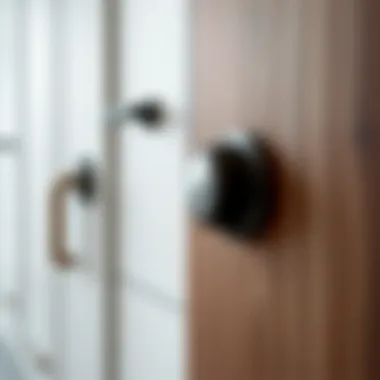 Contemporary hardware selections for enhanced door functionality