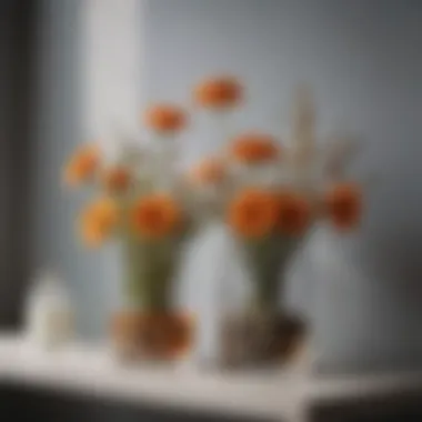 Aesthetic Dehydrated Flower Bouquets Aesthetic arrangement of dehydrated flower bouquets on a modern shelf