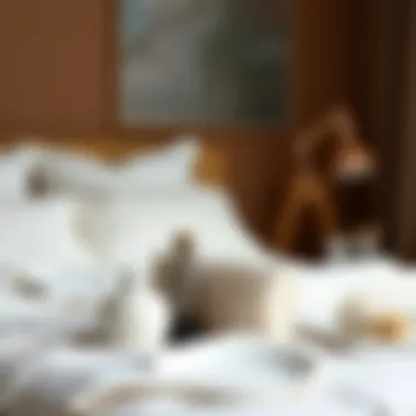 Stylish decorative elements complementing white satin bedding