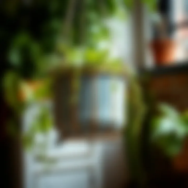 Close-up of metal hanging planter showcasing craftsmanship