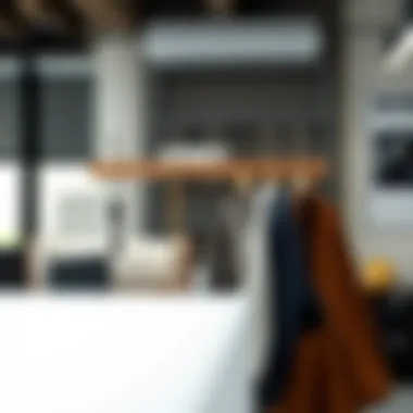 Practical Use of Multi Hanger Hooks in Office Space Multi hanger hook installed in a practical office environment for organization