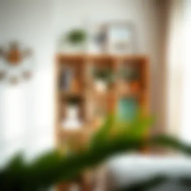 Chic 6 cubby shelf displaying plants and art