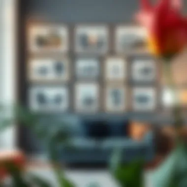 Artistic arrangement of framed photographs in a gallery wall