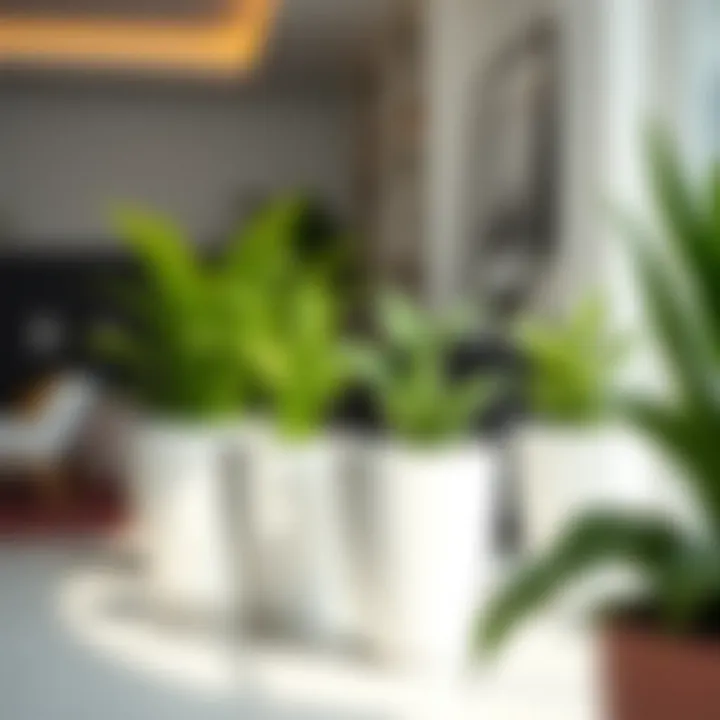 Stylish interior design featuring multiple white planters